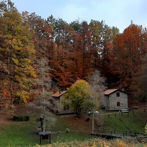 Il Canale Italia